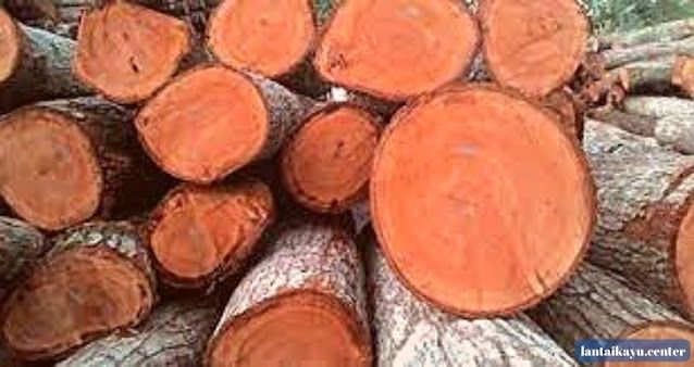 Kayu Meranti